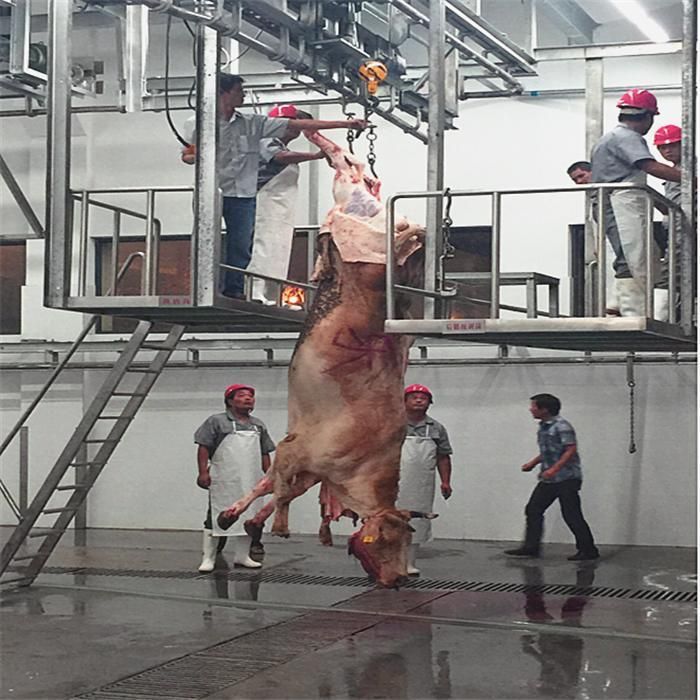 Cattle Sheep Pork Pig Slaughter/Slaughtering Machine/Equipment