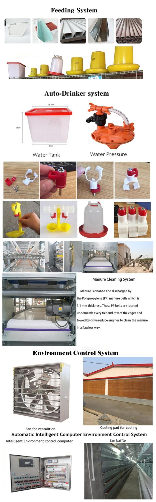 H Type Battery Cage for Poultry Layers / Automatic Chicken Laying Egg Cages / Brooder Chicken Coop