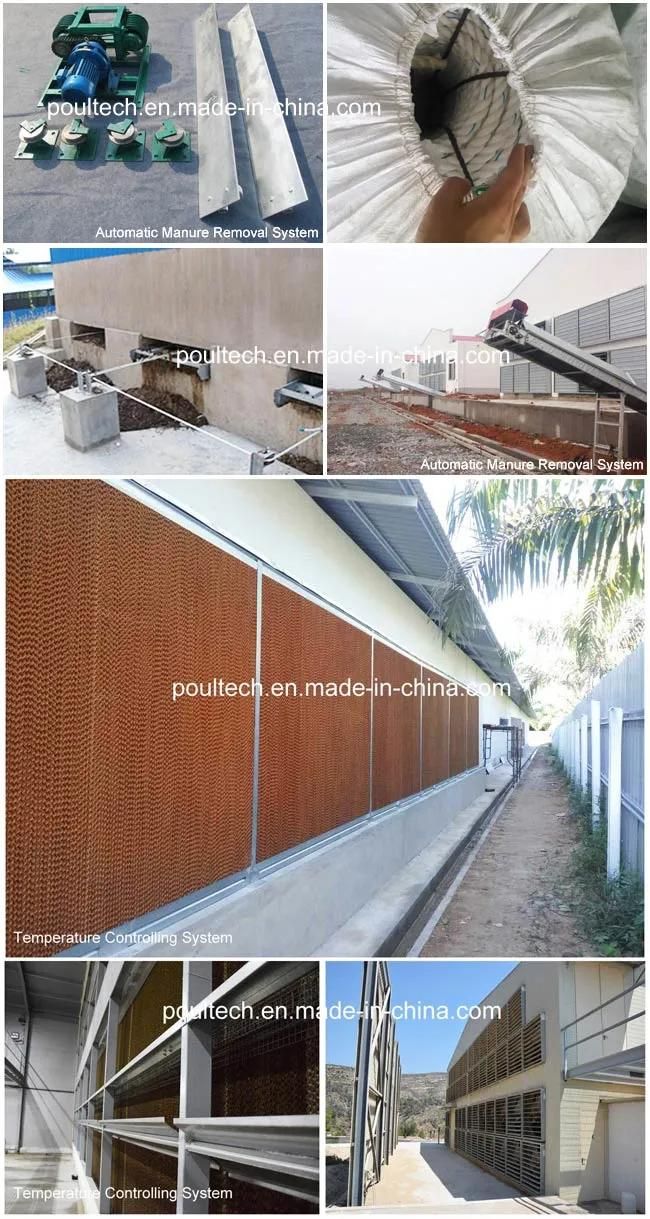 Poultry Farm Layer Chicken Cages