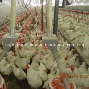 Automatic Poultry Equipment for Breeder Management