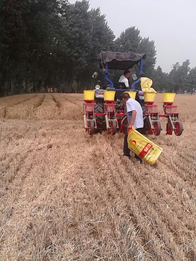 China Good Quality Soybean Precise Planter Maize Seeder 4 Rows for Sale