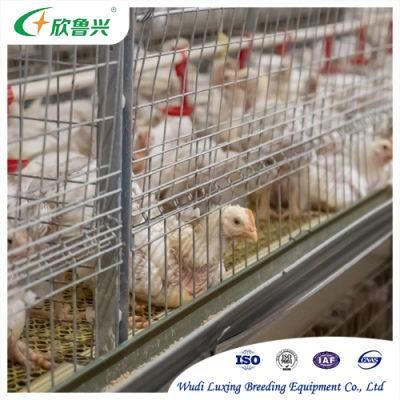 Manufacture Good Quality H Type Battery Broiler Chicken Cage System for Sale