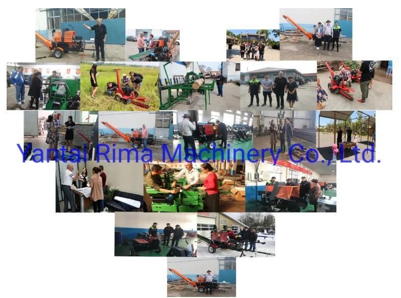 Wood Processing Machinery Wood Product Processing Line