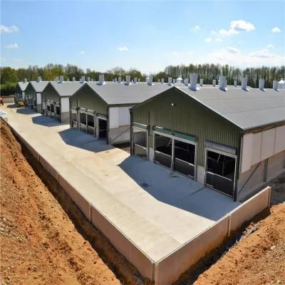 Long Time Usage Prefab/Prefabricated Low Cost Steel Structure Pig Shed