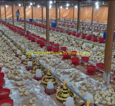 Fully Automatic Complete Chicken Broiler and Layer Farming Poultry Equipment