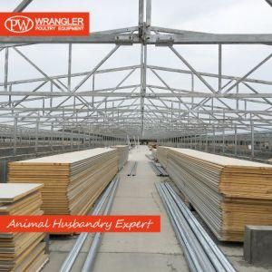 Steel Structure Chicken Poultry Shed Used in PU/PIR Sandwich Panel Poultry