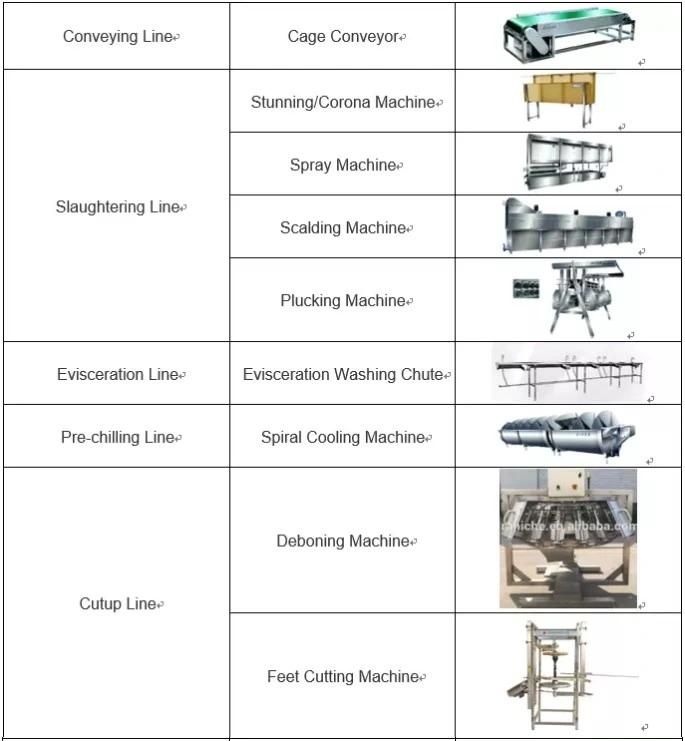 Farm Equipment Chicken/Duck/Quail/Poultry Slaughter/Slaughtering Machine