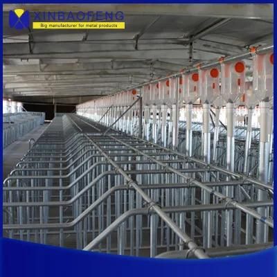 Farrowing Crates for Pigs Sows Farrowing Bed Sow Pig Feeding Equipment