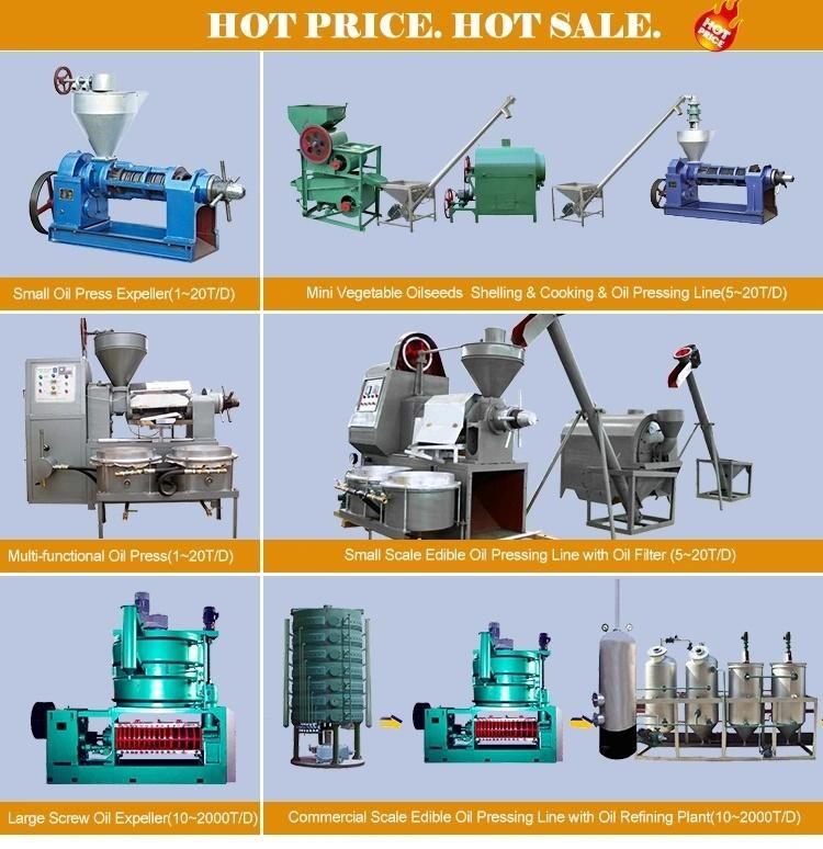 Big Capacity Soyabean Oil Processing Plant/Pumpkin Seed Oil Press Machine