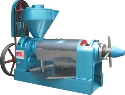 Sale Large Screw Oil Press Machine Cold Press Oil Machine