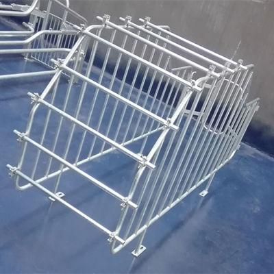 Customized Pig Stall Gestation Stall for Sow