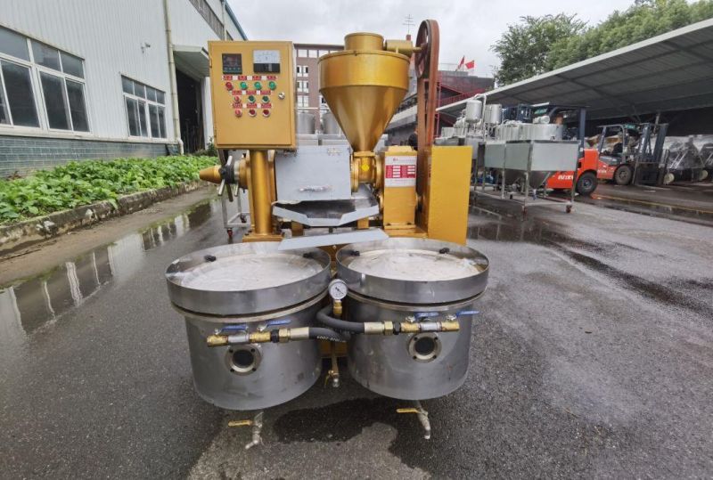 50kg/H Commercial Cold Oil Pressing Machine Sunflower Coconut Groundnut Oil Press Price