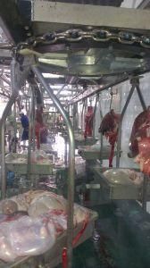 Sheep &amp; Buffalo Slaughter Bone Crushing Grinding Machine
