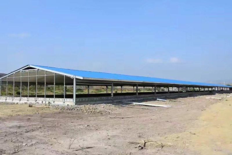 Xinguangzheng Designed Pig Breeding Equipment