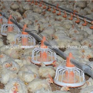 Good Designed Poultry Breeding Equipment