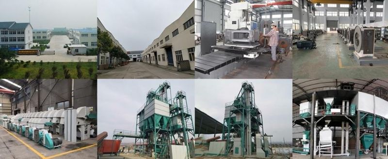 1-2 Ton/H Livestock Feed Pellet Making Machine Animal Poultry Cattle Chicken Fish Feed Pellet Production Line Price for Sale