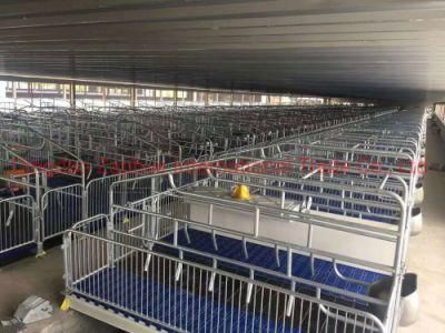 Pig Farm Turnkey Project Design and Equipment