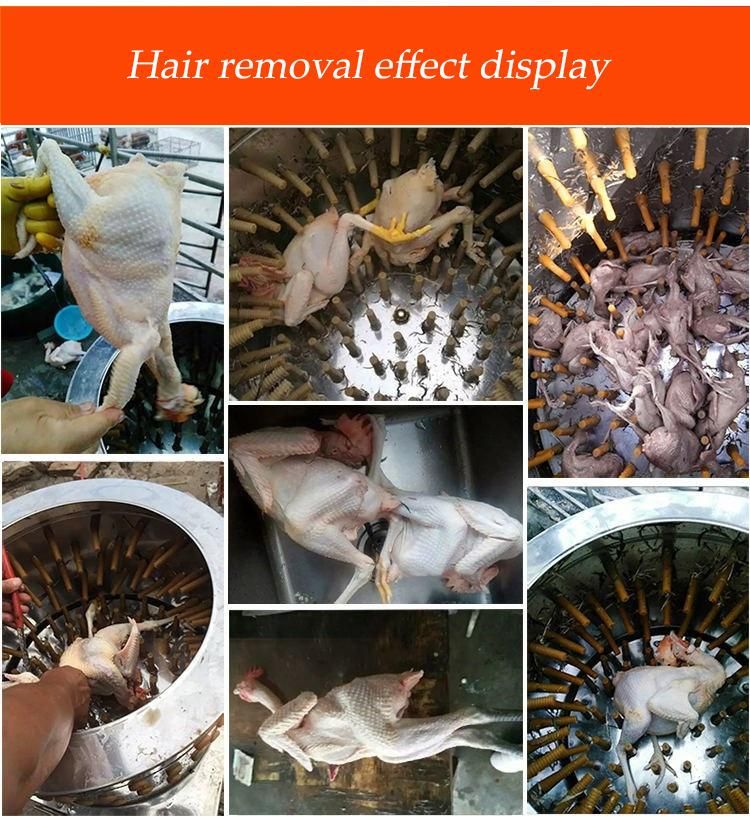 Chicken Duck Hair Removal Machine Commercial Chicken Poultry Plucking Plucker Chicken Feather Removal Machine