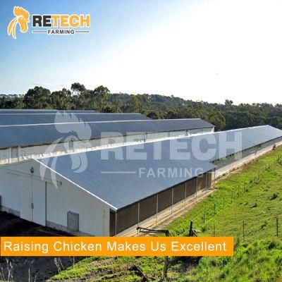 Turn-key solutions prefab steel structure building poultry shed chicken house