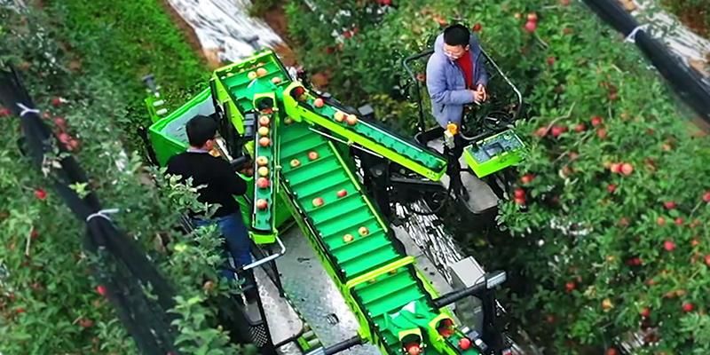 Gl-4A Wheeled Orchard Harvester Fruit Apple Picking Machine