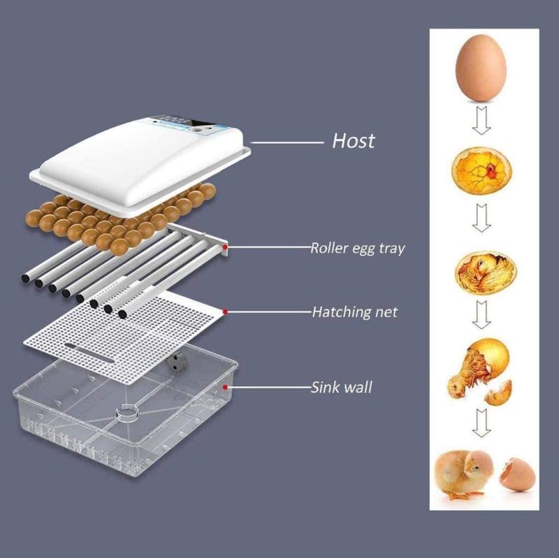 CE Fully Automatic Incubator/Duck Incubator/Mini Incubator