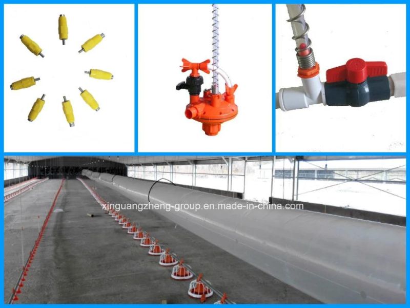 Automatic Poultry Farm Broiler Chicken Equipment