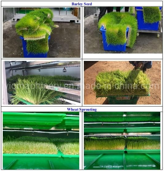 Customized Full Auto Hydroponic Growing Systems With 150kg/d