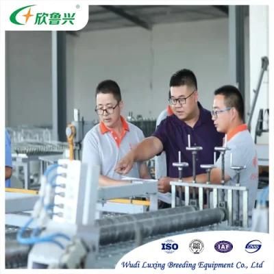 Hot Sale Broiler Shed Automatic Battery 35000 Birds Chicken Coop Broiler Cage