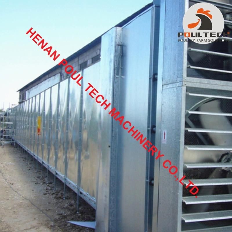 Chicken Manure Treatment - Manure Drying Equipment with 100 Tons Manure/Day