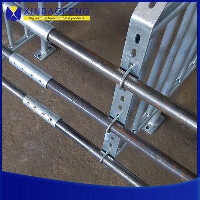 Pig Equipment Made in China, Galvanized Pipe, Sow Gestation Box/Stall