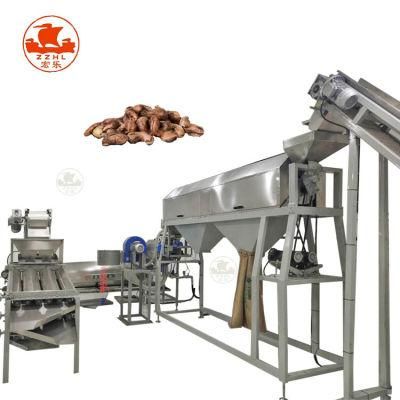 Automatic Cashew Nut Peeling Machine