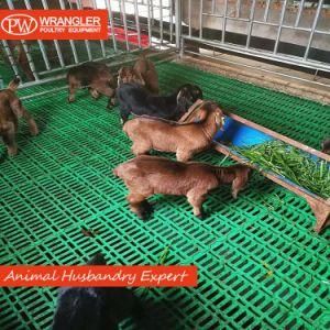 Rabbit Floor/Sheep Goat Farm Plastic Slat Floor