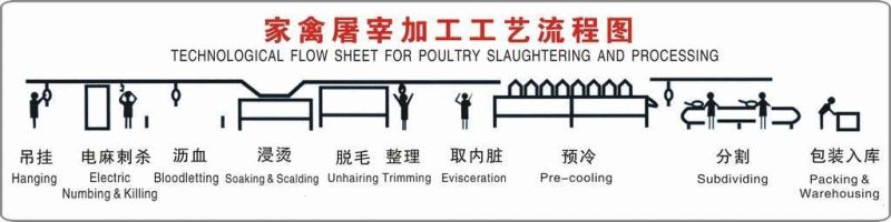 New Product Automatic Poultry Cage Unloading Machine for Chicken Slaughterhouse