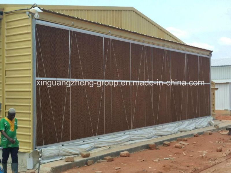 Xinguangzheng Designed Broiler Equipment