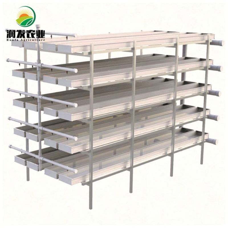 Agricultural Greenhouse Automatic PVC Material Hydroponic Fodder Grass System