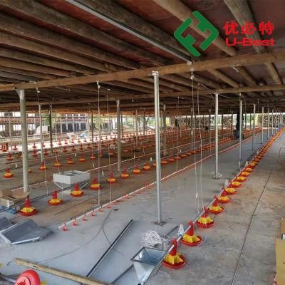 Poultry Shed Equipment for Chicken Broiler on The Ground