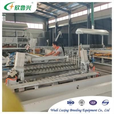 Modern Chicken Poultry Farming Equipments Automatic Egg Chicken Battery Layer Cage for Africa
