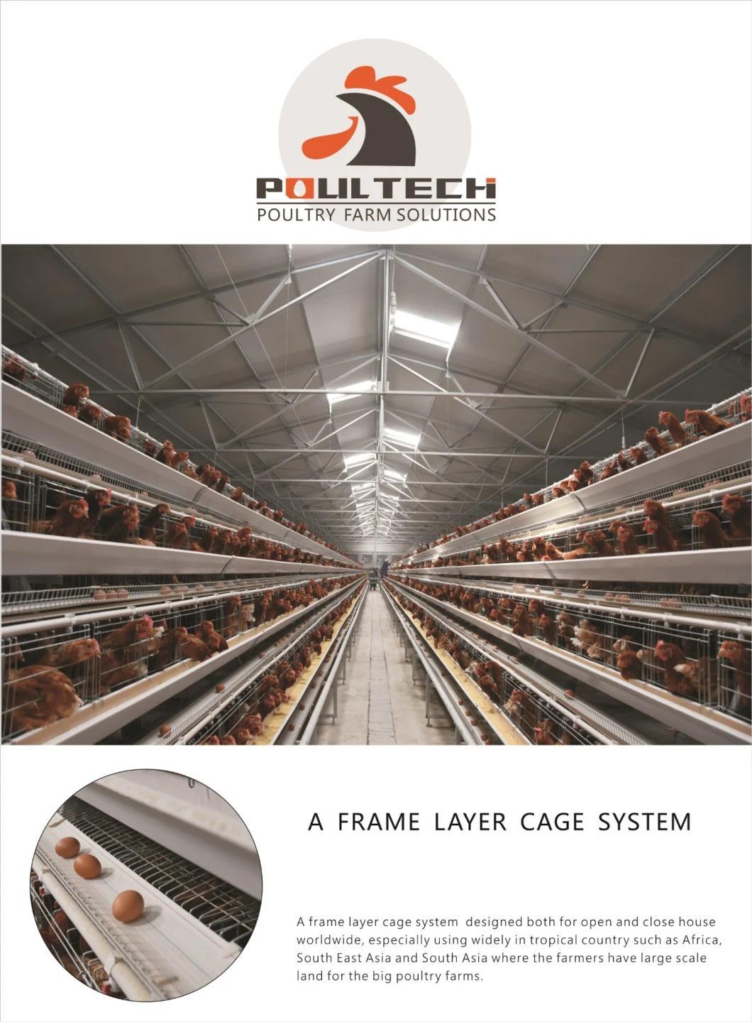 Chicken Cage Poultry Type a Raising Equipment for Large Scale Poultry Farm