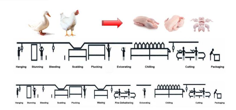 Automatic Chicken Feet Peeling Machine for Chicken Meat Processing Line and Chicken Slaughterhouse Abattoir