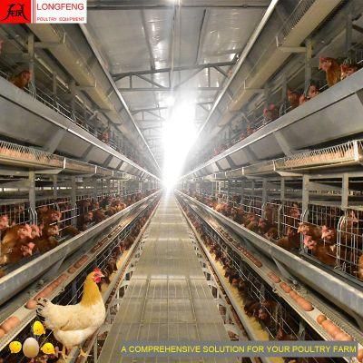 1 Year Warranty Automatic Farming Poultry Farm Equipment Layer Chicken Cage