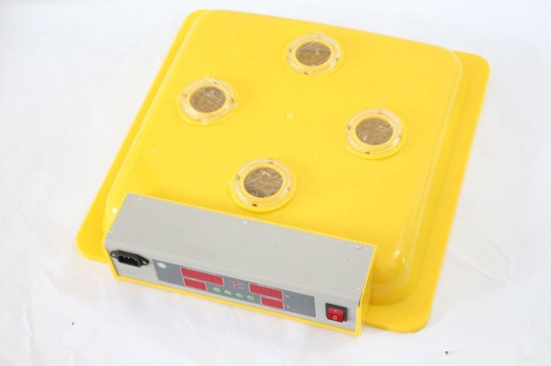 Lower Price Automatic Poultry Hatching Mini Parrot Egg Incubator for 48 Eggs (KP-48)