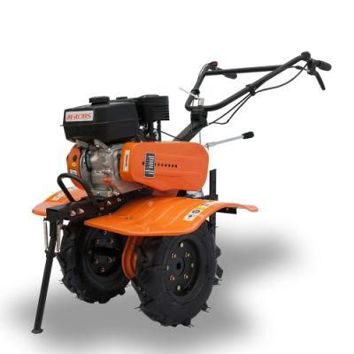 Domestic Agricultural Machinery/Gasoline Power Mini-Tiller with Gear Drive