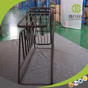 Free Access Individual Sow Stall Made in China