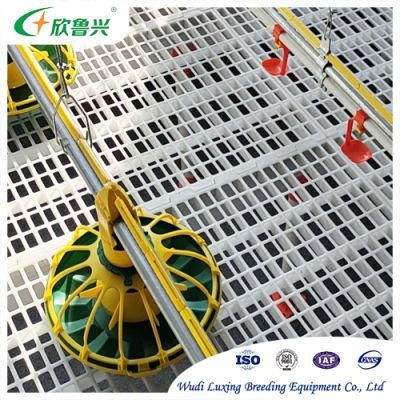 Floor Raising Automatic Deep Litter System Poultry Farming Broiler Feeding Tray Flood Poultry Feed Feeder Pans