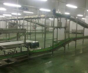 Pig Abattoir Equipment Macellazione Per Suini Peeler Machinery