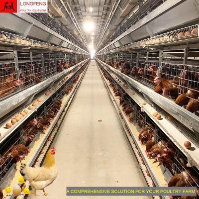 Automatic Chicken Cage Farming Longfeng China Poultry Feeding Equipment Coop