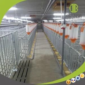 Pig Equipment Hot DIP Galvanized Pig Gestation Stall for Sale