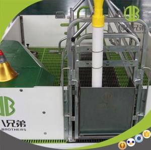 Farrowing Crate for Sow Pig Cage Equipment
