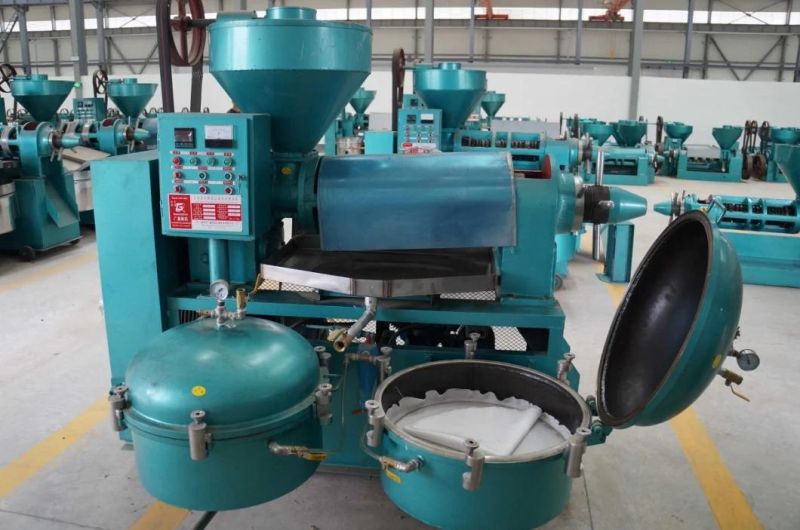 Hot Selling Sunflower Seeds 300kg/H Combined Oil Press Machine Yzlxq130