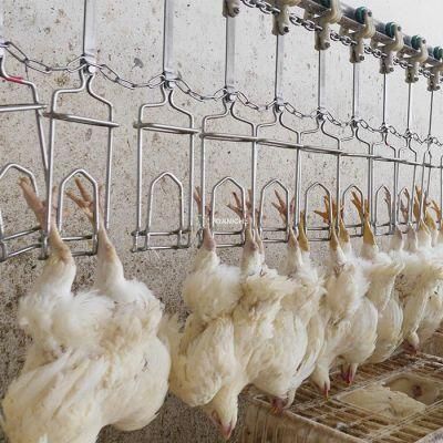 300-10000bph Meat Processing Scalding and Dehairer Machine Equipment